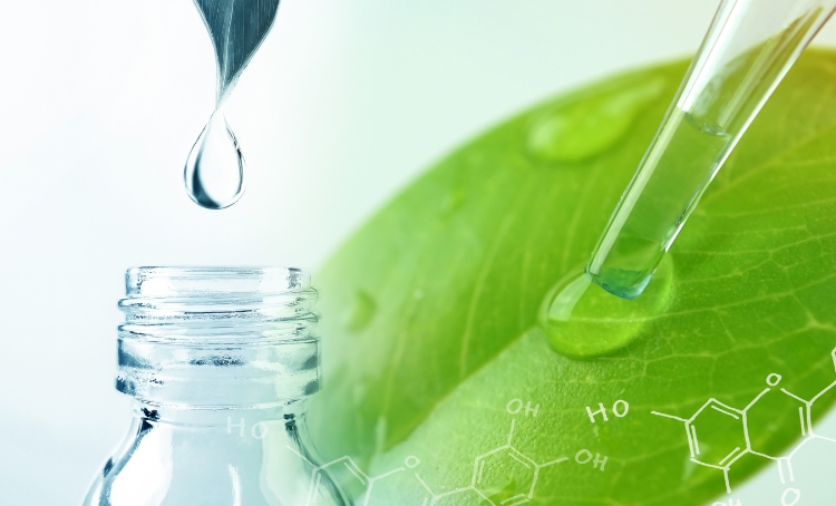 Vegetables Fresh Food